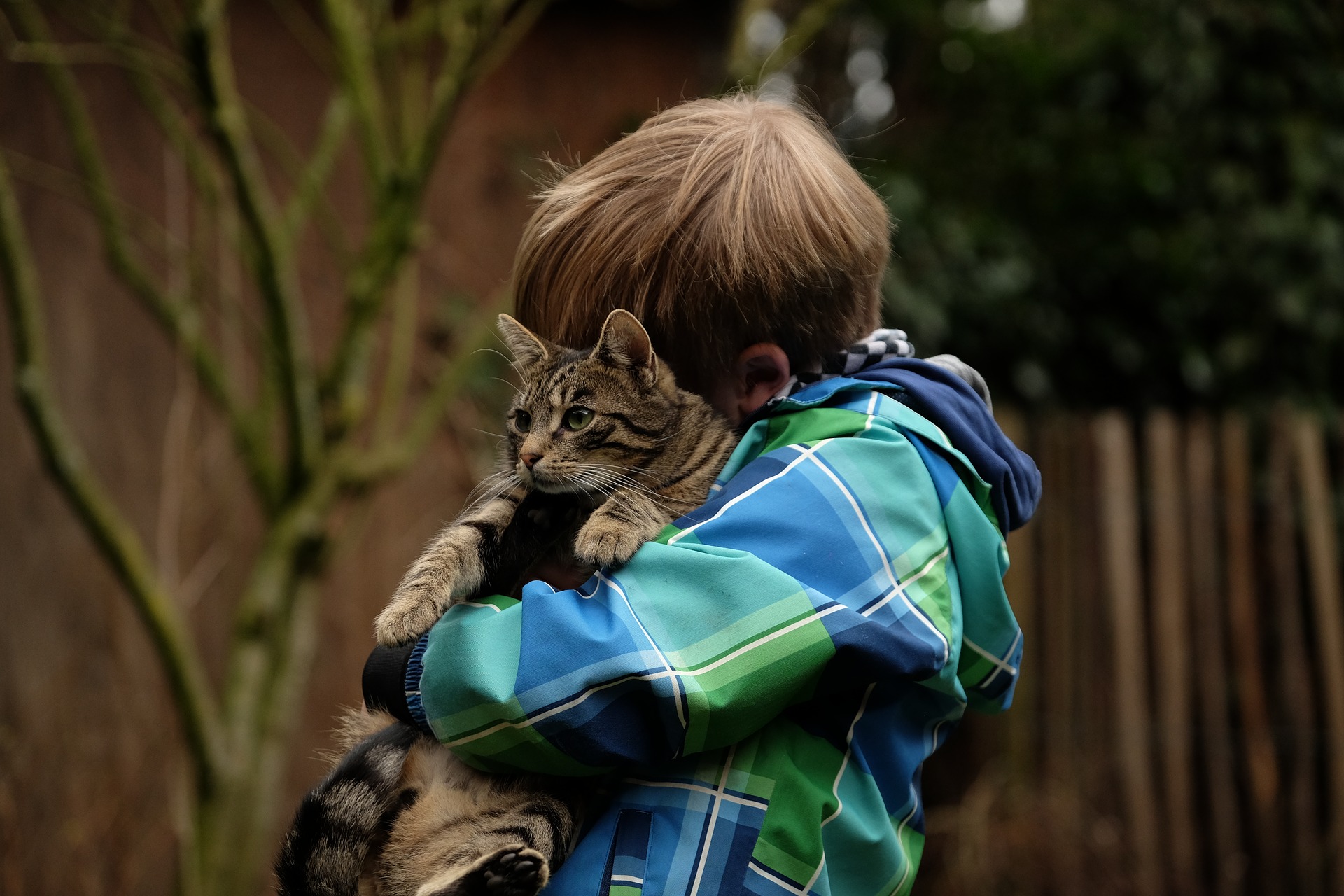 chat et enfant association lyonnaise Ron'Rhône | Bénévolat à Lyon